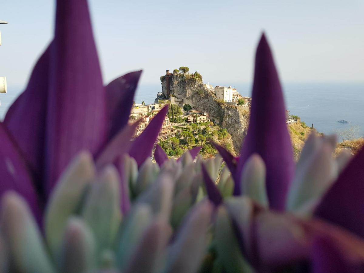 Casa Vacanze Monte Venere Castelmola Eksteriør billede